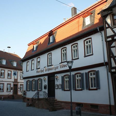 Hotel Schwartzer Loewe Babenhausen  Zewnętrze zdjęcie