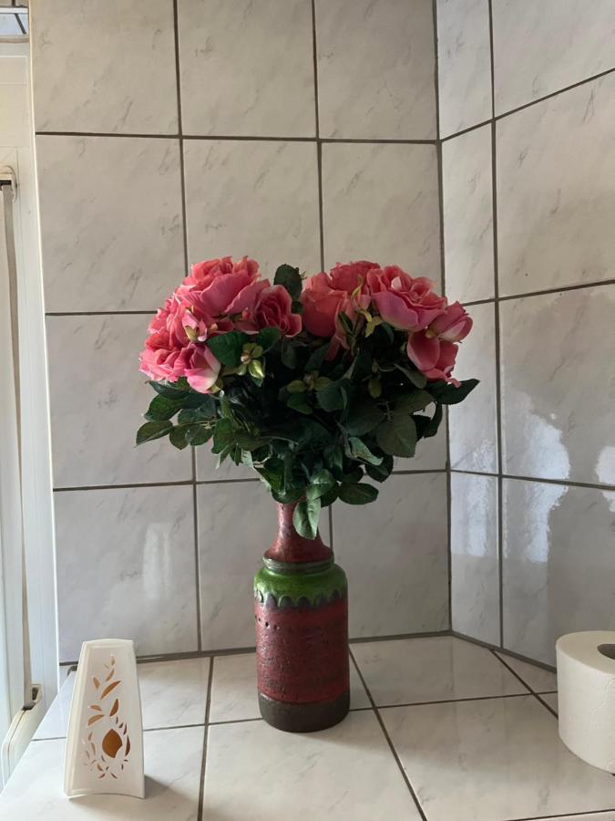 Hotel Schwartzer Loewe Babenhausen  Zewnętrze zdjęcie