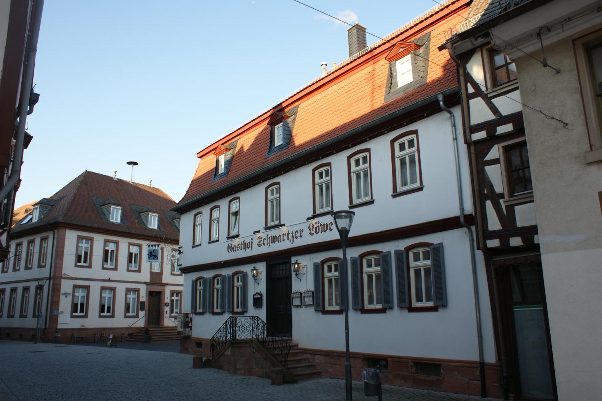 Hotel Schwartzer Loewe Babenhausen  Zewnętrze zdjęcie
