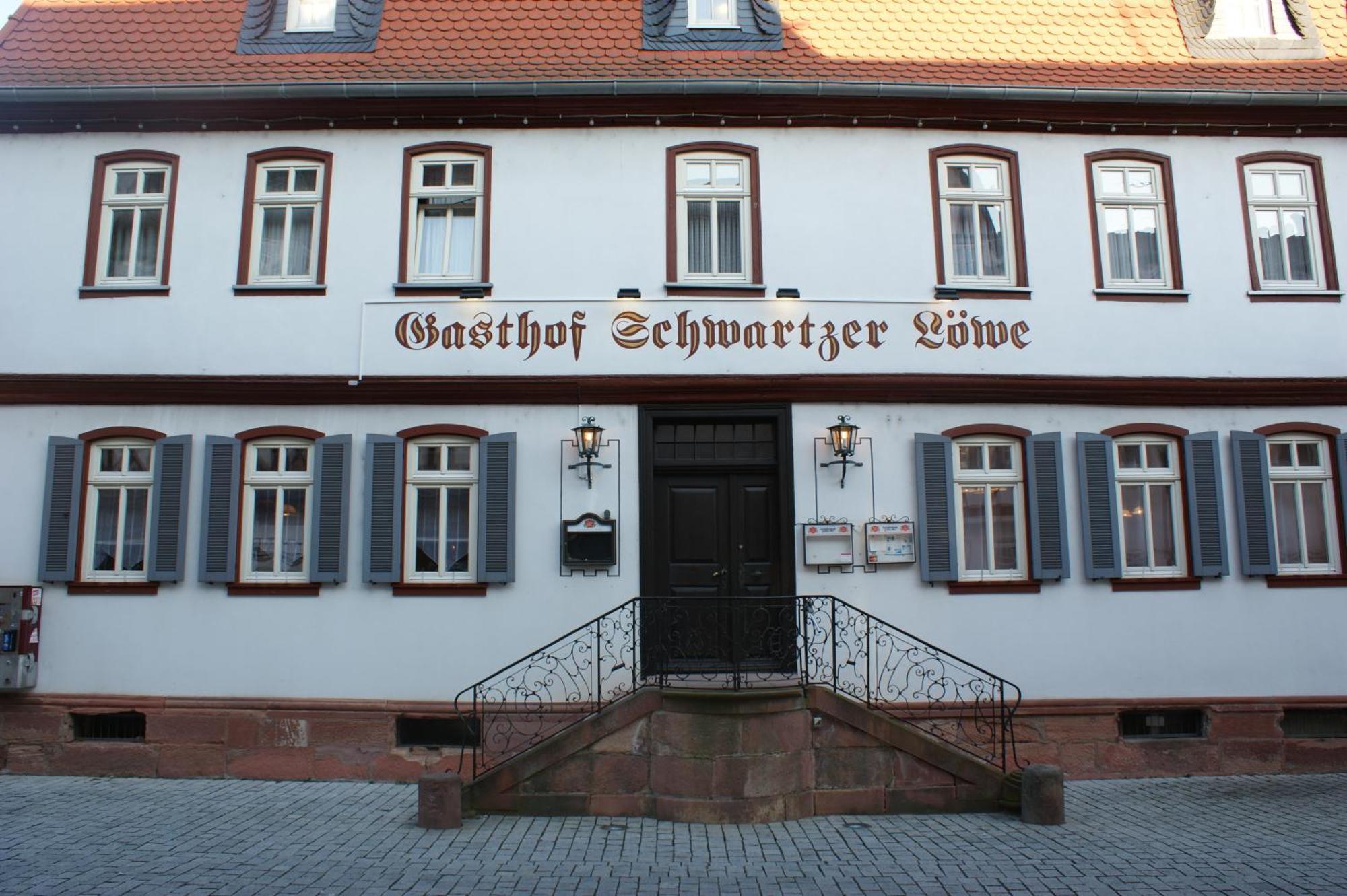 Hotel Schwartzer Loewe Babenhausen  Zewnętrze zdjęcie