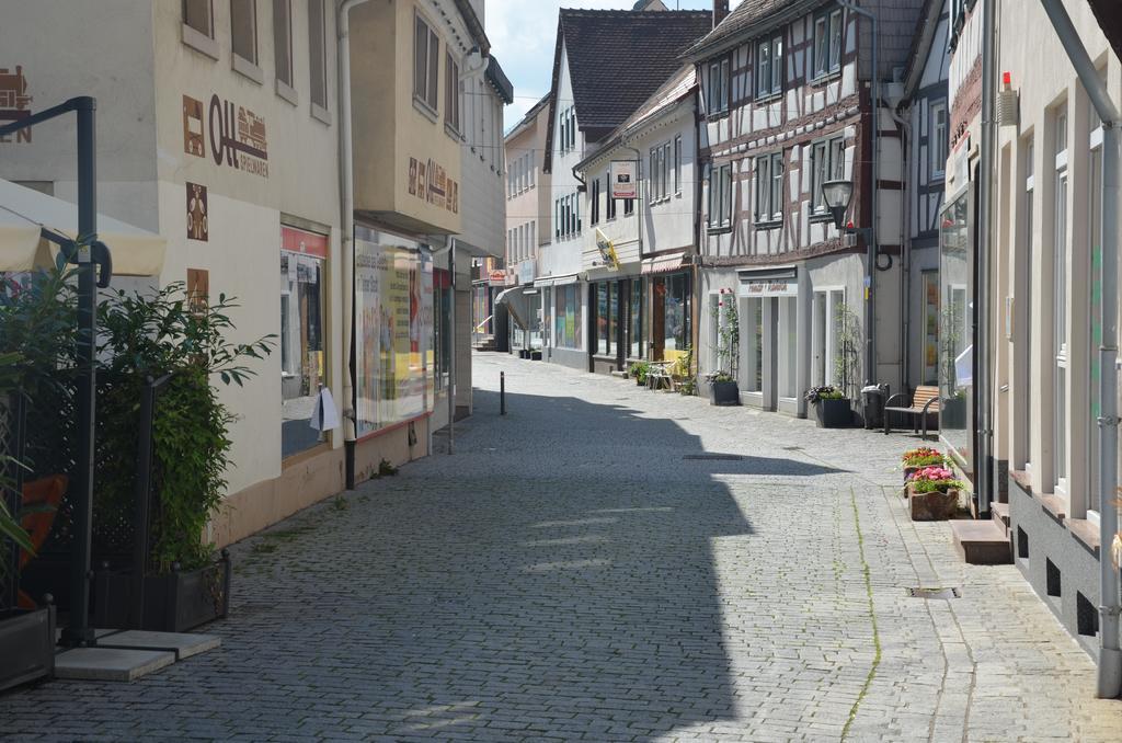 Hotel Schwartzer Loewe Babenhausen  Zewnętrze zdjęcie
