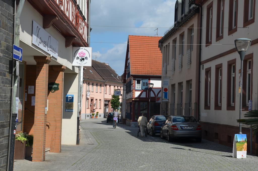 Hotel Schwartzer Loewe Babenhausen  Zewnętrze zdjęcie